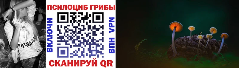 Галлюциногенные грибы мицелий  Переславль-Залесский 